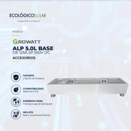  ALP 5.0L BASE 1