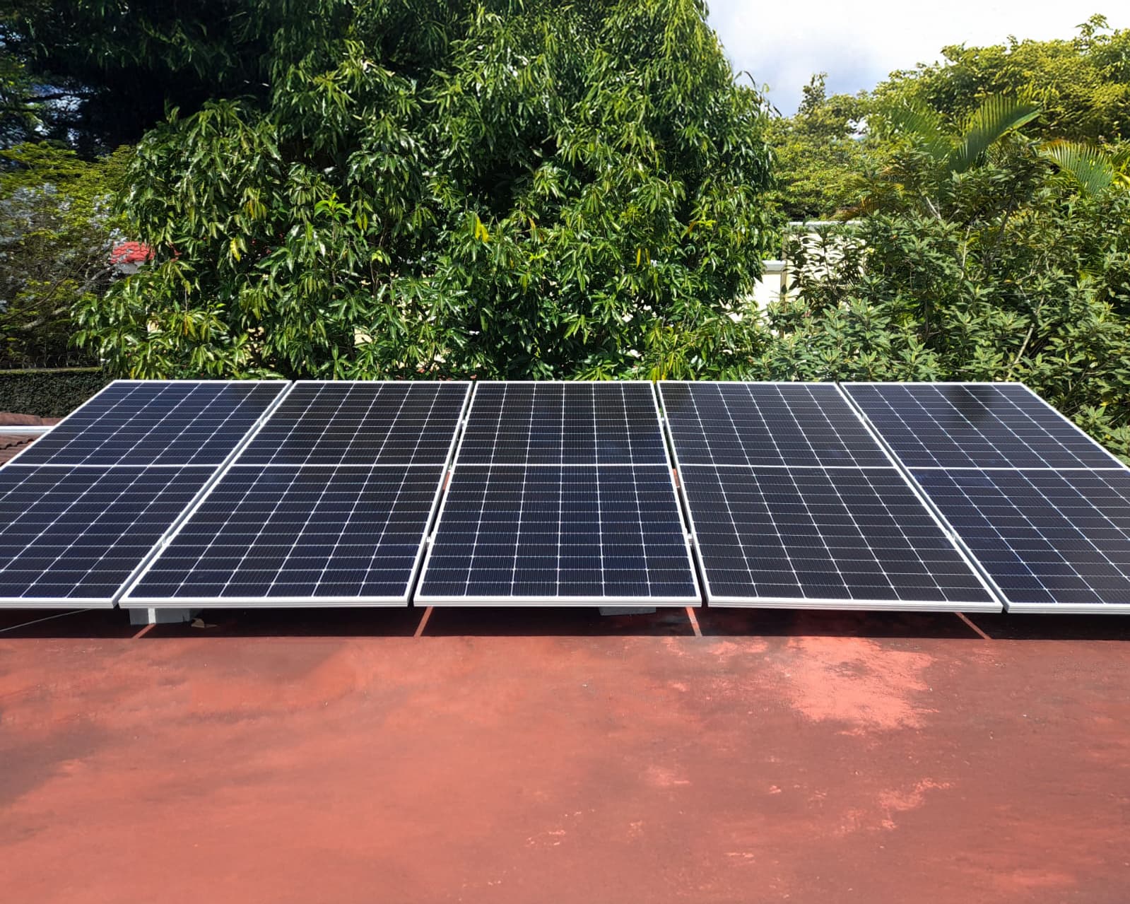 Oficinas Ecológico Solar Zona 10